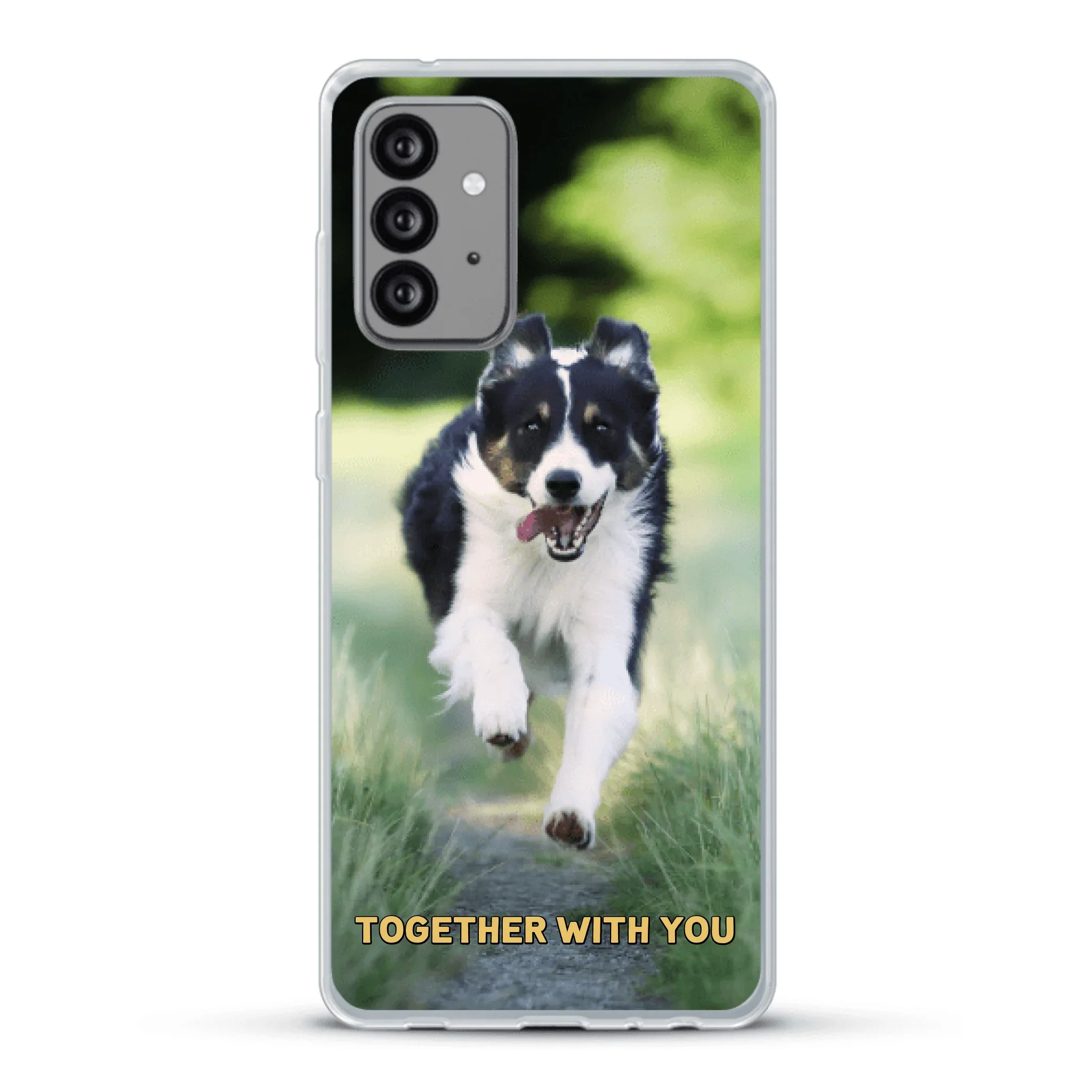 Product image 43